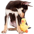 Load image into Gallery viewer, Emma Ente Rope Dog Toy - Dog Lovers
