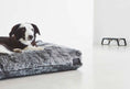 Load image into Gallery viewer, Felpa Dog Cushion MiaCara
