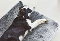 Φόρτωση εικόνας στο πρόγραμμα προβολής Gallery, Felpa Dog Cushion MiaCara
