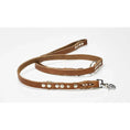 Load image into Gallery viewer, Adjustable comfort dog collar - Quality GIRO craftsmanship
