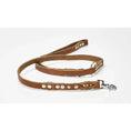 Laad de afbeelding in de Galerij-viewer, Adjustable comfort dog collar - Quality GIRO craftsmanship
