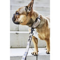 Laden Sie das Bild in den Galerie-Viewer, GIRO Dog Leash - Dog Lovers
