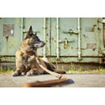 Laden Sie das Bild in den Galerie-Viewer, GIRO Dog Leash - Dog Lovers
