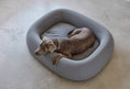 Load image into Gallery viewer, Bed for Dogs - Shop Now
