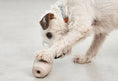 Load image into Gallery viewer, top rated interactive dog toys
