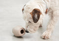 Load image into Gallery viewer, best puppy interactive toys
