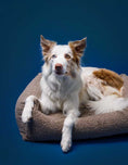 Load image into Gallery viewer, Teddy Dog Bed available in sizes S, SM, and M for all dogs
