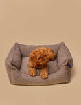 Load image into Gallery viewer, Comfortable and stylish Teddy Dog Bed in home decor
