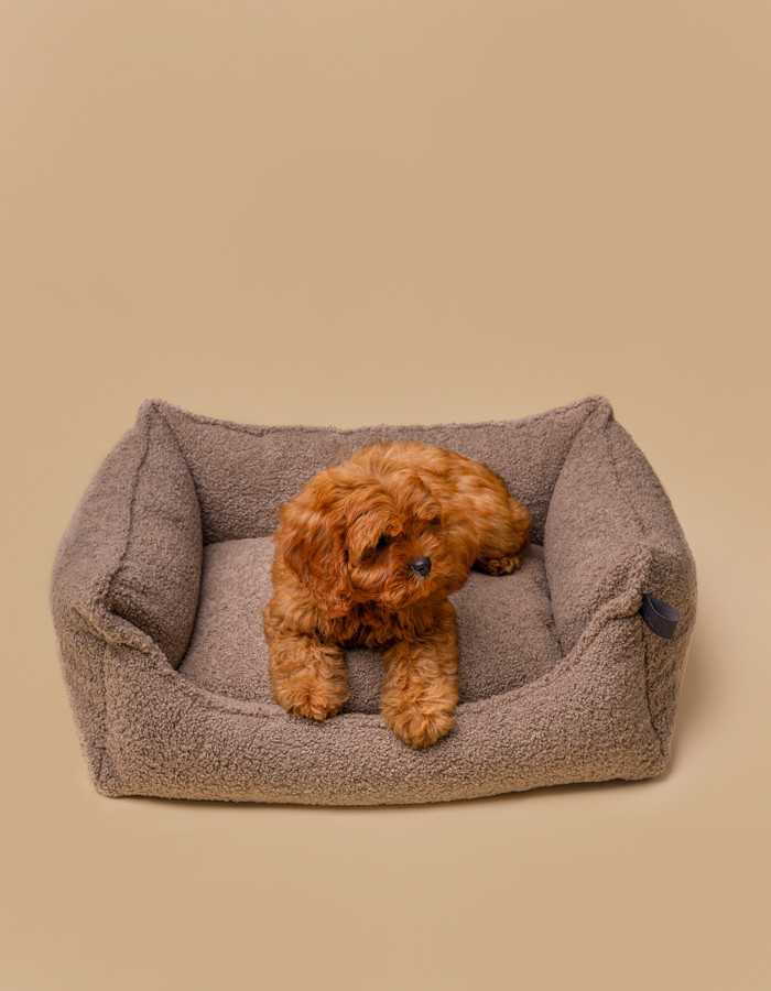 Comfortable and stylish Teddy Dog Bed in home decor