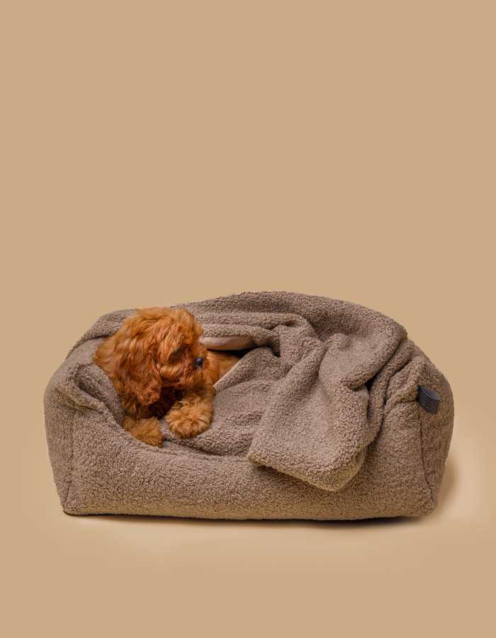 Teddy Dog Bed with removable cover for easy cleaning