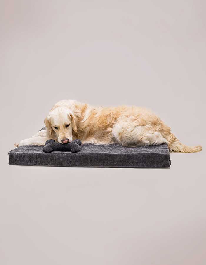 Memory foam dog bed with plush bone toy