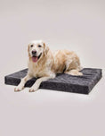 Load image into Gallery viewer, Powdery pink memory foam dog bed for optimal comfort
