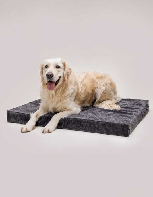 Powdery pink memory foam dog bed for optimal comfort