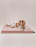 Load image into Gallery viewer, Elegant graphite memory foam dog cushion for superior comfort
