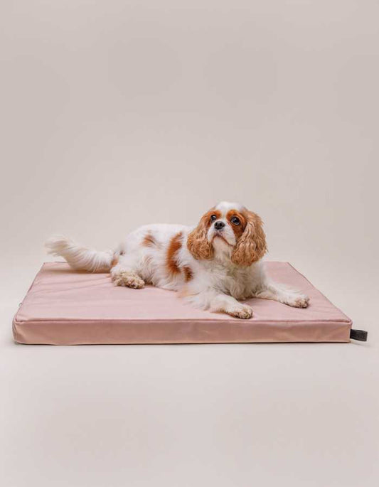 Elegant graphite memory foam dog cushion for superior comfort