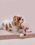 Load image into Gallery viewer, Pet enjoying the therapeutic memory foam dog cushion
