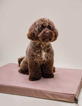 Load image into Gallery viewer, Easy-to-clean removable cover of memory foam dog cushion
