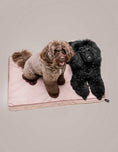 Load image into Gallery viewer, Memory foam dog cushion available in various sizes
