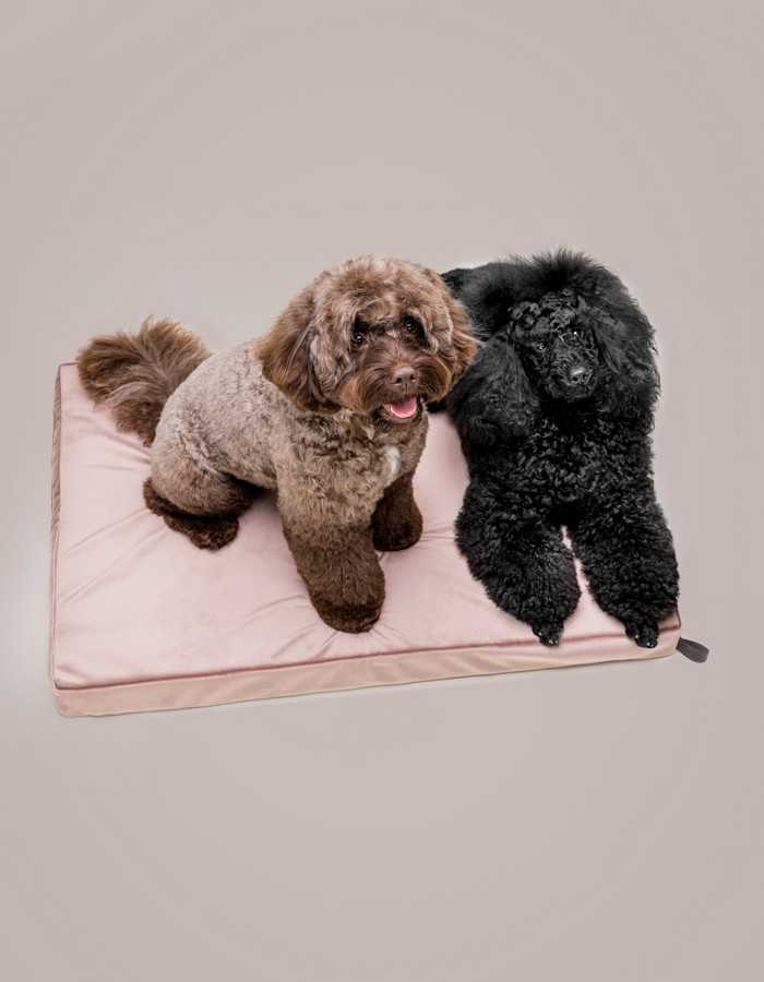Memory foam dog cushion available in various sizes