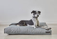 Φόρτωση εικόνας στο πρόγραμμα προβολής Gallery, Mare Dog Cushion dog bed 3
