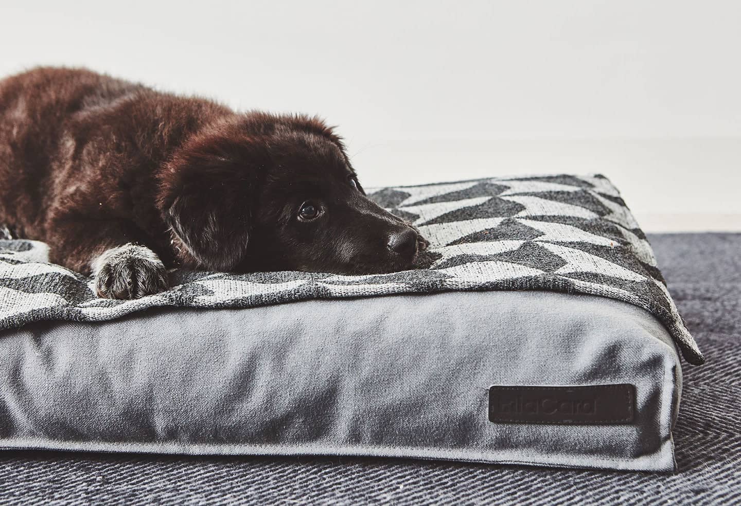 Stella Dog Cushion Dog Bed MiaCara
