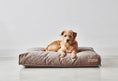 Load image into Gallery viewer, Stella Dog Cushion Dog Bed MiaCara

