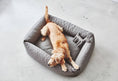 Φόρτωση εικόνας στο πρόγραμμα προβολής Gallery, Stella Box Dog Bed  Dog Lovers
