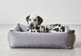 Φόρτωση εικόνας στο πρόγραμμα προβολής Gallery, Stella Box Dog Bed  Dog Lovers

