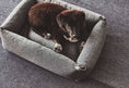 Load image into Gallery viewer, Stella Box Dog Bed  Dog Lovers
