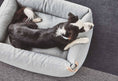 Φόρτωση εικόνας στο πρόγραμμα προβολής Gallery, Sonno Box Dog Bed  Dog Lovers
