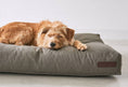 Φόρτωση εικόνας στο πρόγραμμα προβολής Gallery, Mare Dog Cushion dog bed2
