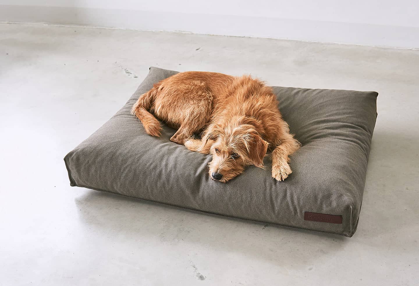 Mare Dog Cushion dog bed 4