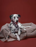 Load image into Gallery viewer, Eco-friendly cozy pet blanket made from recycled materials
