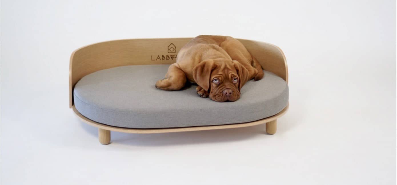 Dog Bed - Best sofa bed