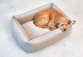 Load image into Gallery viewer, Velluto Dog Box Bed  Dog Lovers
