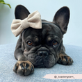 Load image into Gallery viewer, High-Quality Nude Polyester Cord Dog Bow Tie Detail
