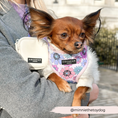 Cargar imagen en el visor de la Galería, crossbody bag for dog walking
