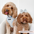 Load image into Gallery viewer, Pup Charming Blue Glitter Bow Tie for Dogs by Cocopup
