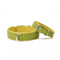 Load image into Gallery viewer, Small Leather Dog Collar - AMICI Luxury Collection

