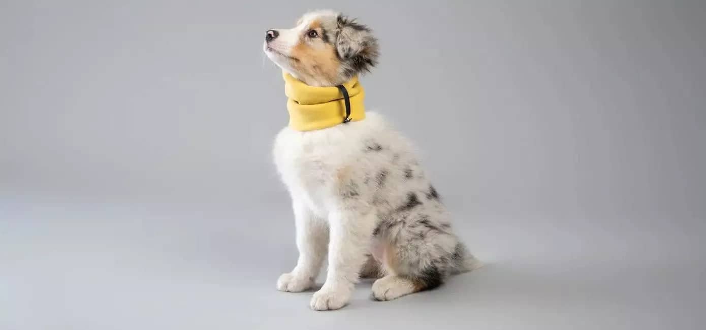 Snug-fit dog neck warmer for all breeds