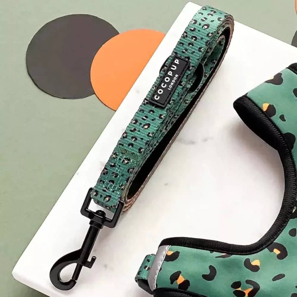 Khaki Leopard Dog Leash on stylish pet