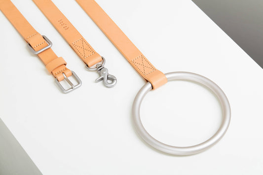 Lumi Dog Leash and Dog Collar Set Boo-oh