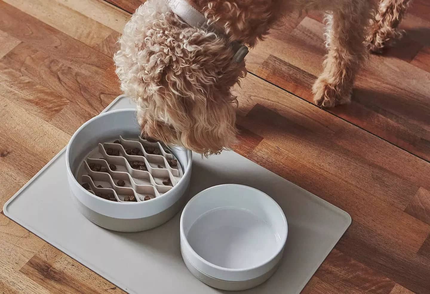 Slow Eating Bowl Dog Insert Lento - MiaCara