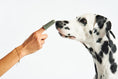 Load image into Gallery viewer, Dog Dental Gel Miacara
