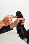 Load image into Gallery viewer, dog balm grooming Miacara
