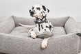 Load image into Gallery viewer, Senso Dog Plush Toy
