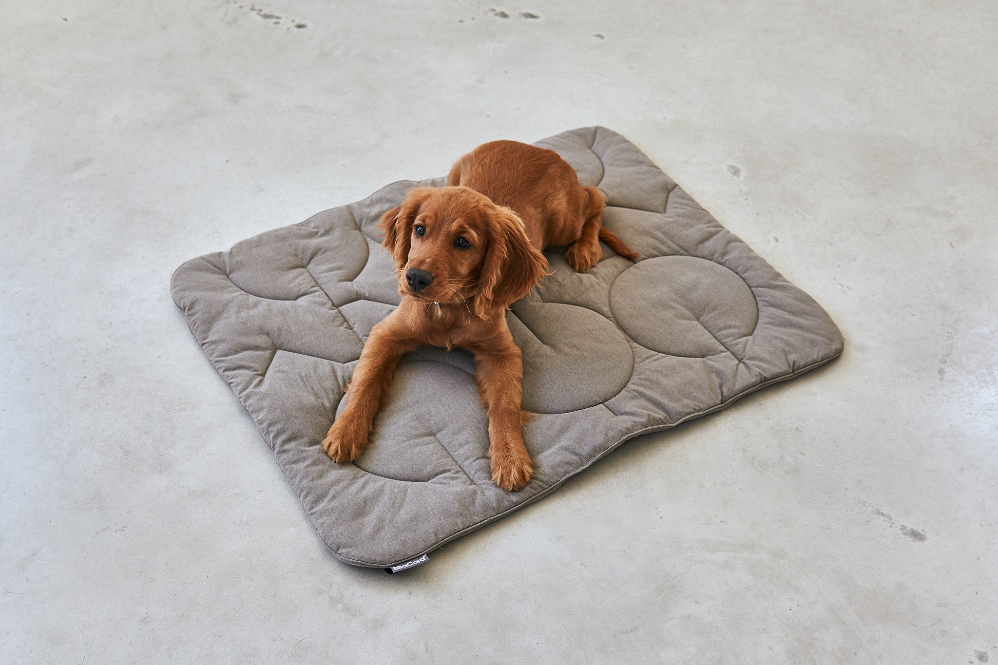  Linea Pet Indoor Blanket