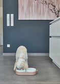 Load image into Gallery viewer, white ceramic dog bowl Tavoletta Miacara
