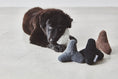 Load image into Gallery viewer,  Quattro Dog Toy Shop
