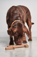 Φόρτωση εικόνας στο πρόγραμμα προβολής Gallery, Παιχνίδι δραστηριότητας σκυλιών Volpe
